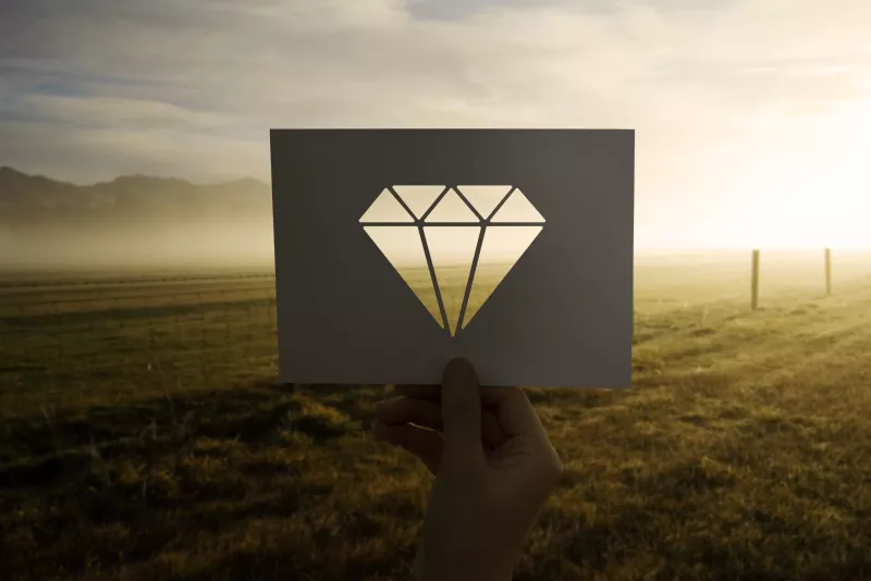Diamands in Diamands out. AI