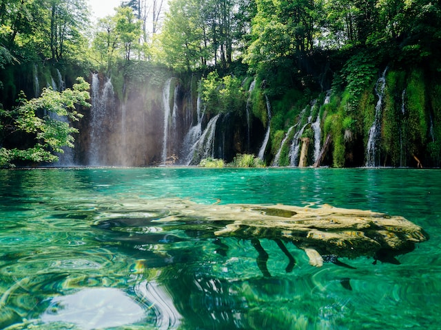 Natuurpark Plitvička Jezera Kroatie